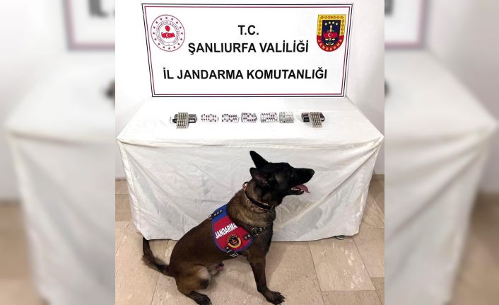 Şanlıurfa’da uyuşturucu madde ele geçirildi