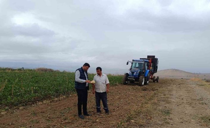 Şeker pancarı hasadı başladı