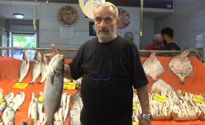 Sezon açıldı, tezgahlarda hamsi ve istavrit bolluğu