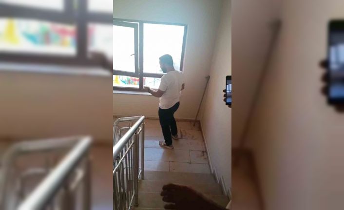 Şırnak’ta apartmanda yılan paniği