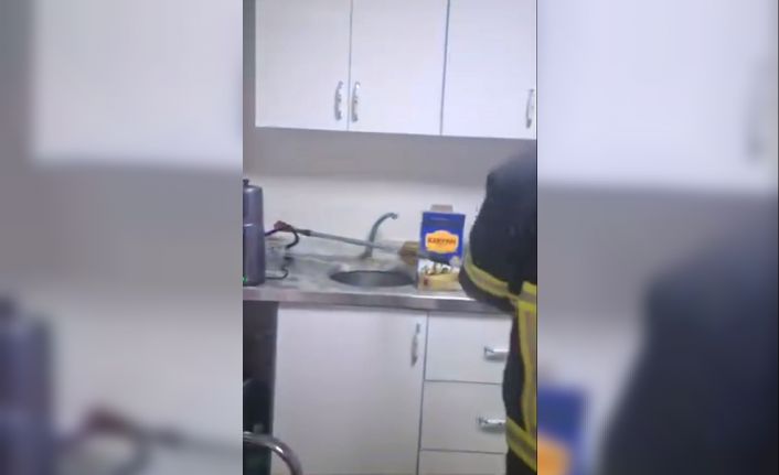 Şırnak’ta iş yerinde yılan paniği