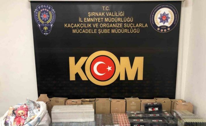 Şırnak’ta narkotik ve kaçakçılık operasyonunda 2 tutuklama