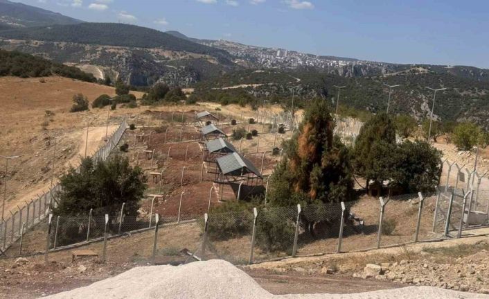 Sokak Hayvanları Doğal Yaşam Alanı’nı ruhsatsız çıktı