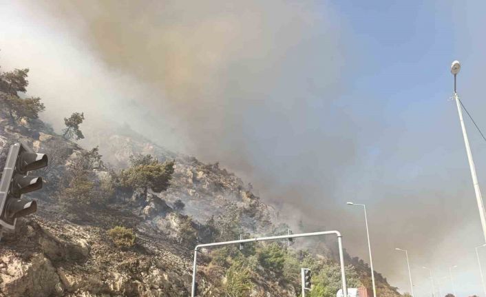 Söke’de makilik alan yangını, söndürme çalışmaları sürüyor