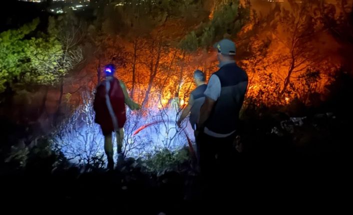 Söke’deki orman yangınının yayılması durduruldu