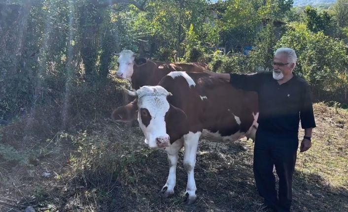 Süt sığırcılığı yapan ailelere 4 milyon 476 bin TL destek