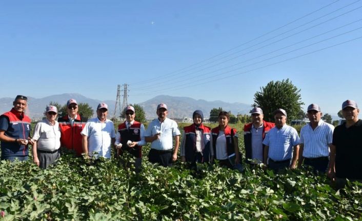 Tarım İl Müdürü Temiz: "Pamuk Aydın için stratejik bir ürün"
