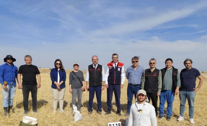 Tarımsal büyüme projesi kapsamında arazi çalışmaları yapıldı