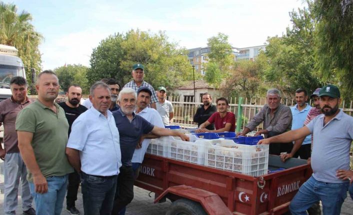 TARİŞ alımları erken kapattı, üretici tüccara tepki gösterdi