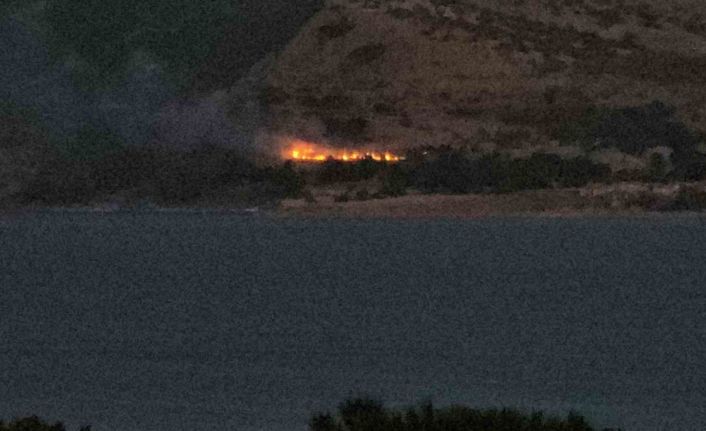 Tatvan’da orman yangını