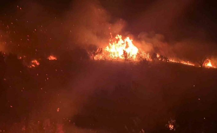 Tekirdağ’da geniş alana yayılan yangın kontrol altına alındı