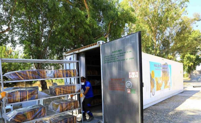 ‘Temiz Petek’ projesi başladı