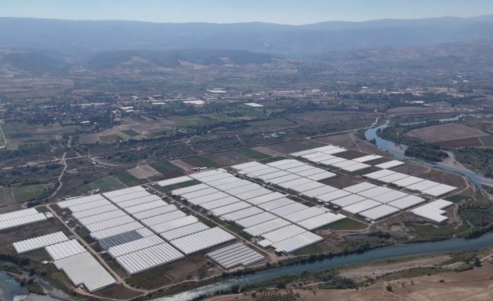 Tokat çiçekçilikte bölge lideri oldu; 600 dekarda 20 çeşit çiçek yetiştiriliyor