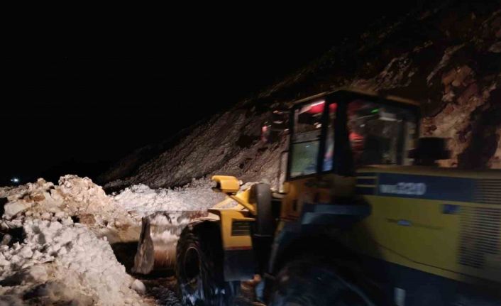 Trovit Yaylası’nda yeniden çığ yaşandı