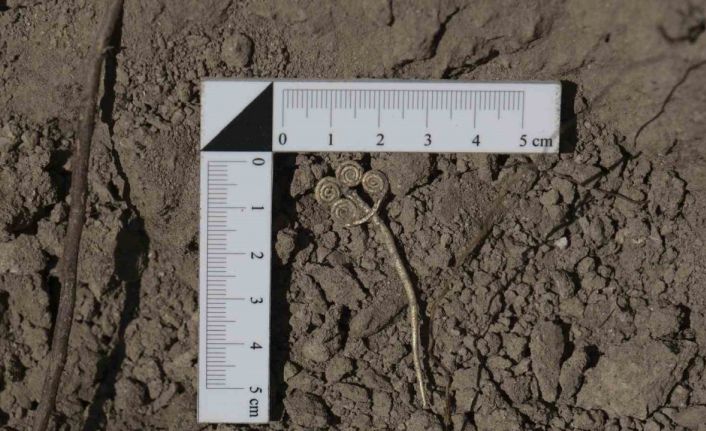 Troya’da 4 bin 500 yıllık altın broş ve ender yeşim taşı gün ışığına çıkarıldı