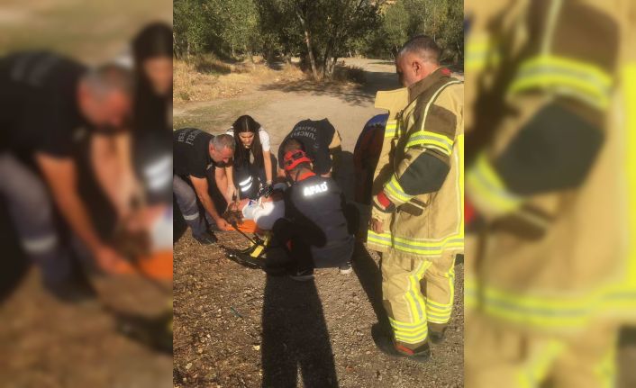 Tunceli’de trafik kazası: 5 yaralı