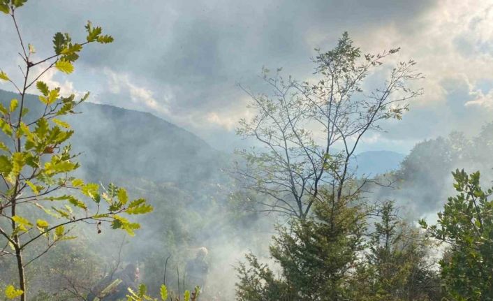 Türkeli’de otluk alanda çıkan yangın söndürüldü