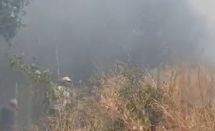 Türkiye-İran sınırında yangın: Vatandaşlar müdahale etti