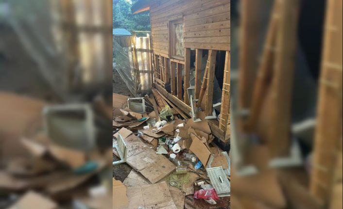 Uludağ’da ayılar barakalara girdi, ortalık darmadağın oldu