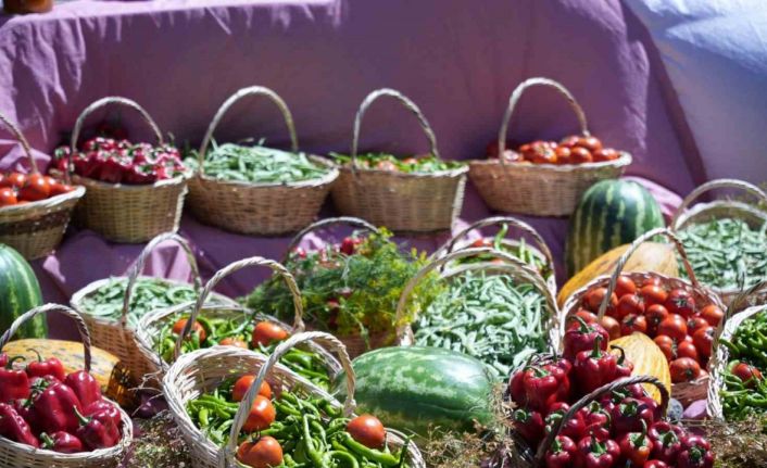 Uluslararası Çubuk Turşu ve Kültür Festivali başladı