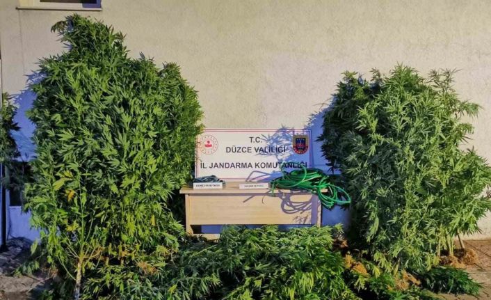 Uyuşturucudan 6 kişi tutuklandı, 44 şahıs hakkında işlem yapıldı