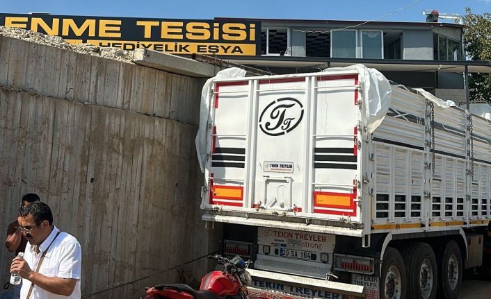 Üzüm yüklemeye geldi, yaşamını yitirdi