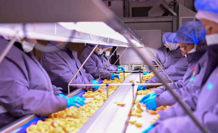 Vali Canbolat, Köşk’te gıda tesisini inceledi