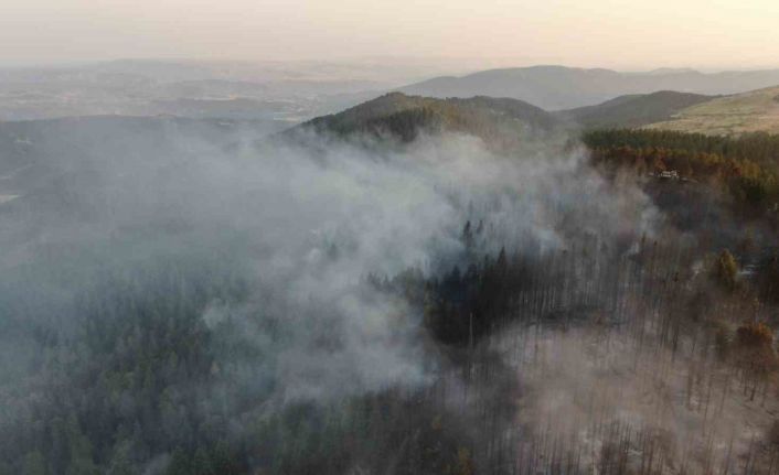Vali Taşolar’dan orman yangınını ihbar eden çocuğa teşekkür