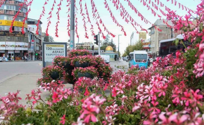 Van Büyükşehir Belediyesi şehri sardunyalarla süslüyor