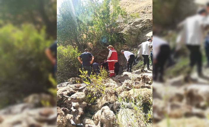 Van’da 334 koyun uçurumdan düşerek telef oldu