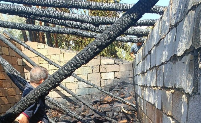 Van’da odunluk yangını