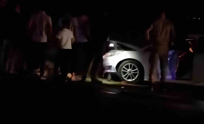 Van’da otomobil sürüye çarptı: 8 koyun telef oldu