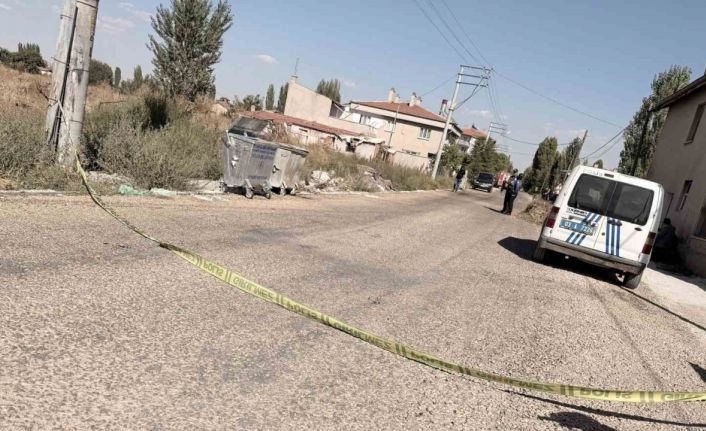 Yaktığı otların içerisine düşerek can verdi