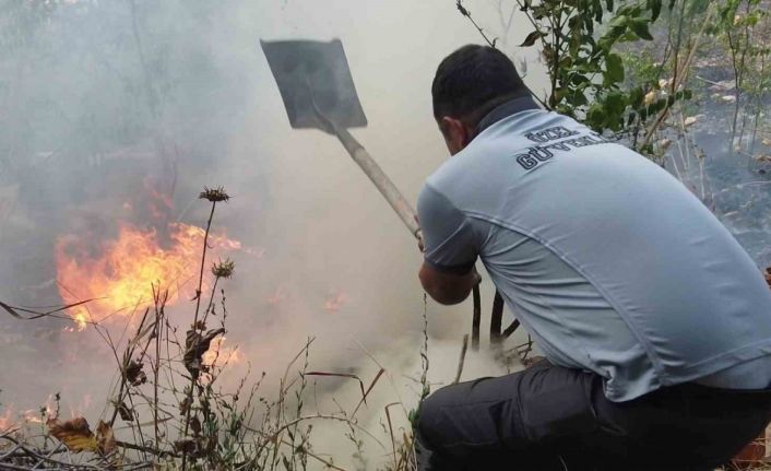 Yangını söndürmek içi devlet-millet seferber oldu