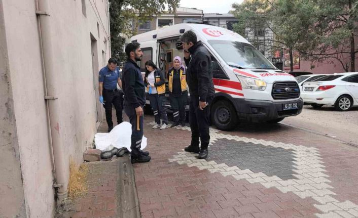 Yaşlı adam sokakta ölü bulundu