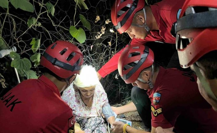 Yaşlı kadın mama verdiği köpek sayesinde bulundu