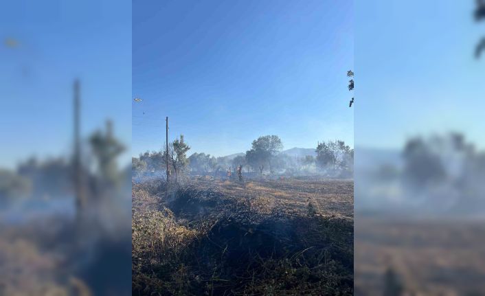 Yatağan’da tarlada çıkan yangın ekipler tarafından söndürüldü