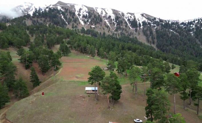 Yaylalara erken kar sürprizi