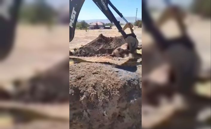 Yazıkonak’ta ölü hayvanın yerleşim alanına gömülmesine vatandaştan tepki