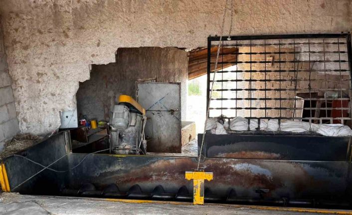 Yem karma tankına düşen işçi yaralandı