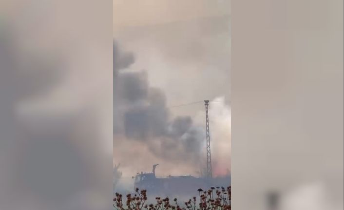 Yenişehir kırsalında yangın paniği