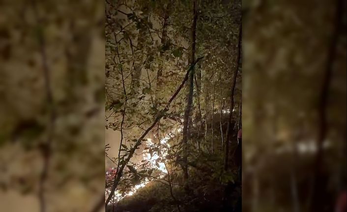 Yığılca’daki orman yangını söndürüldü