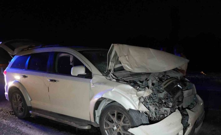 Yola çıkan hayvanlara otobüs ve cip çarptı: 3 inek telef oldu