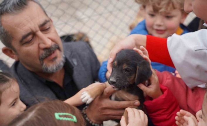 600 öğrenci barınaktaki can dostlarını ziyaret etti