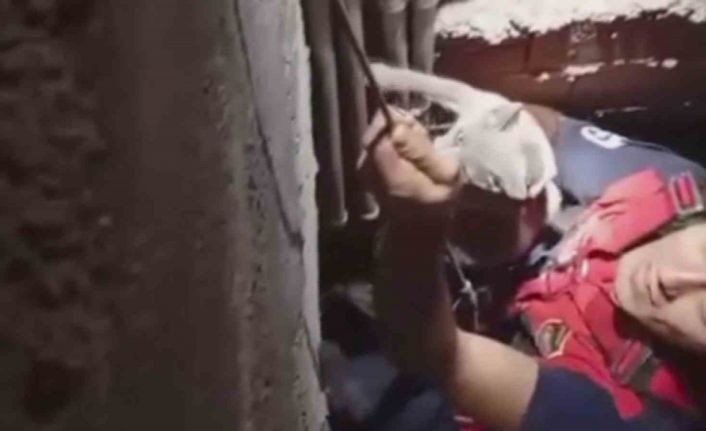 7 metre derinliğindeki boşluğa düşen kedi, zorlu operasyonla kurtarıldı