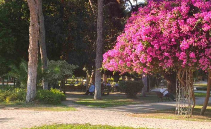 Adana’da yazdan kalma günler yaşanıyor