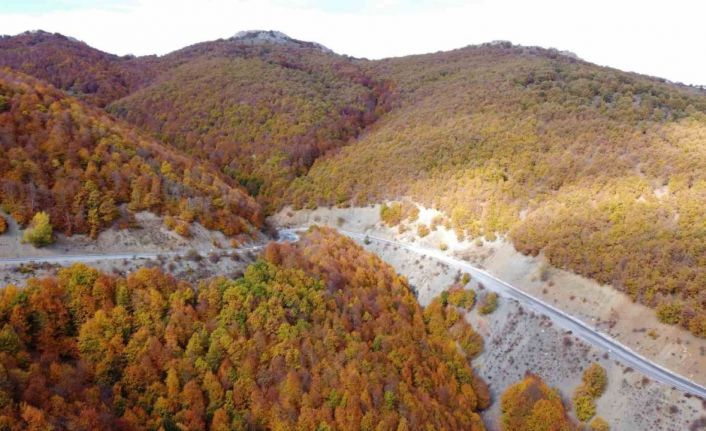 Adeta doğada bir tablo, Şebek Geçidi’nde sonbahar güzelliği mest ediyor