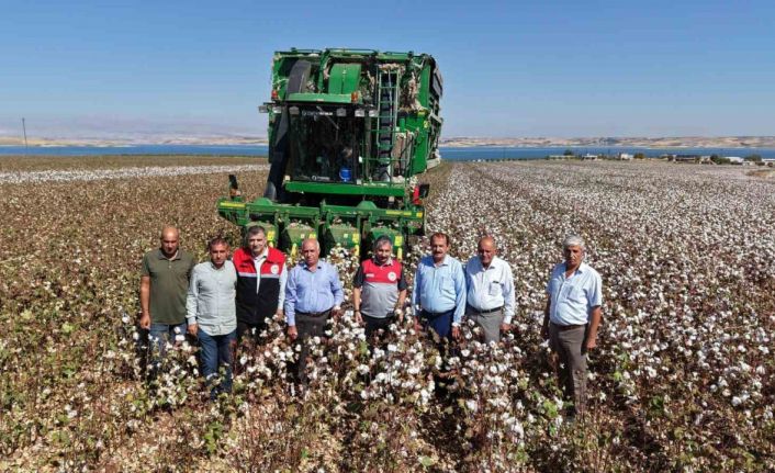 Adıyaman’da 2025 yılı pamuk hasadı başladı