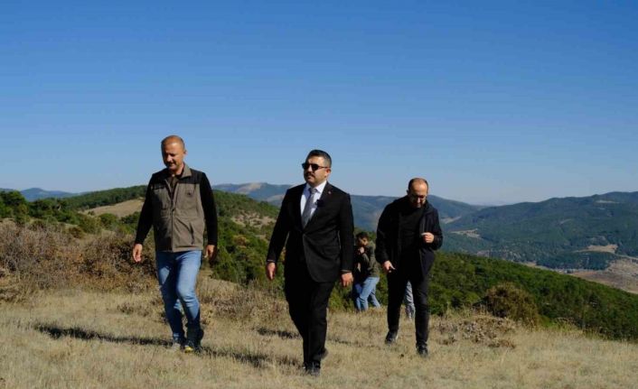 Akdağmadeni Orman Parkı projesinde çalışmalar başladı