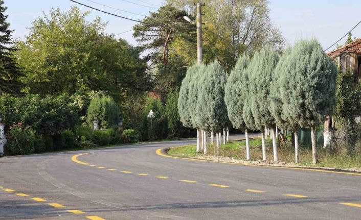 Akyazı’da 4 mahallenin ulaşımı için yeni dönem